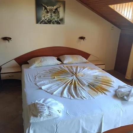 招待所 Hetodon 索佐波尔