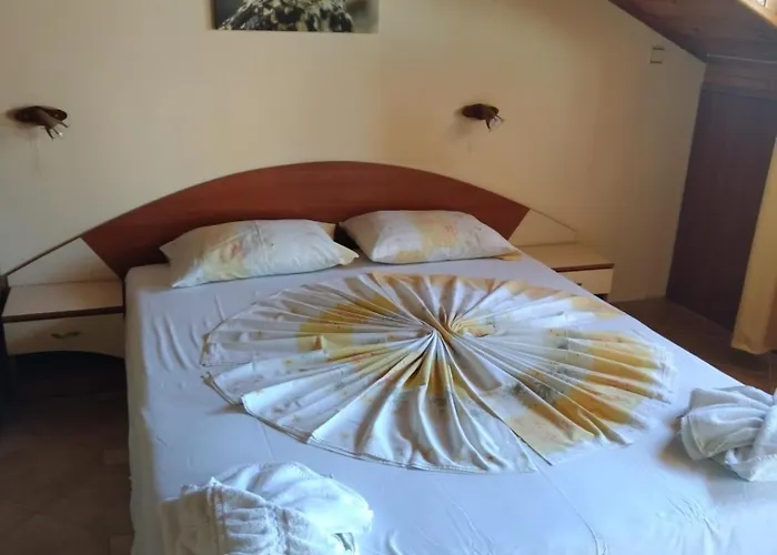 Konukevi Hetodon Süzebolu