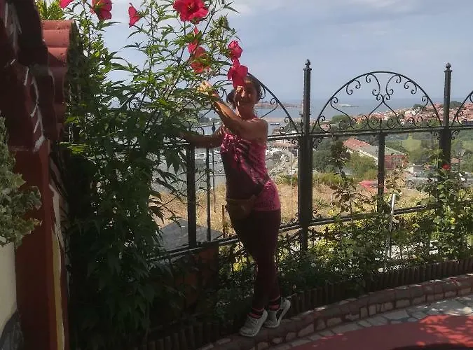 Hetodon 3* Süzebolu